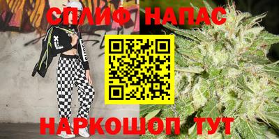 стафф Кандалакша