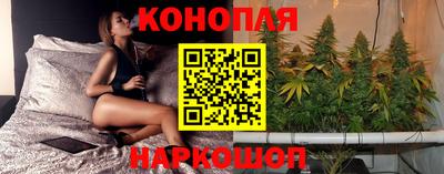 стафф Кандалакша