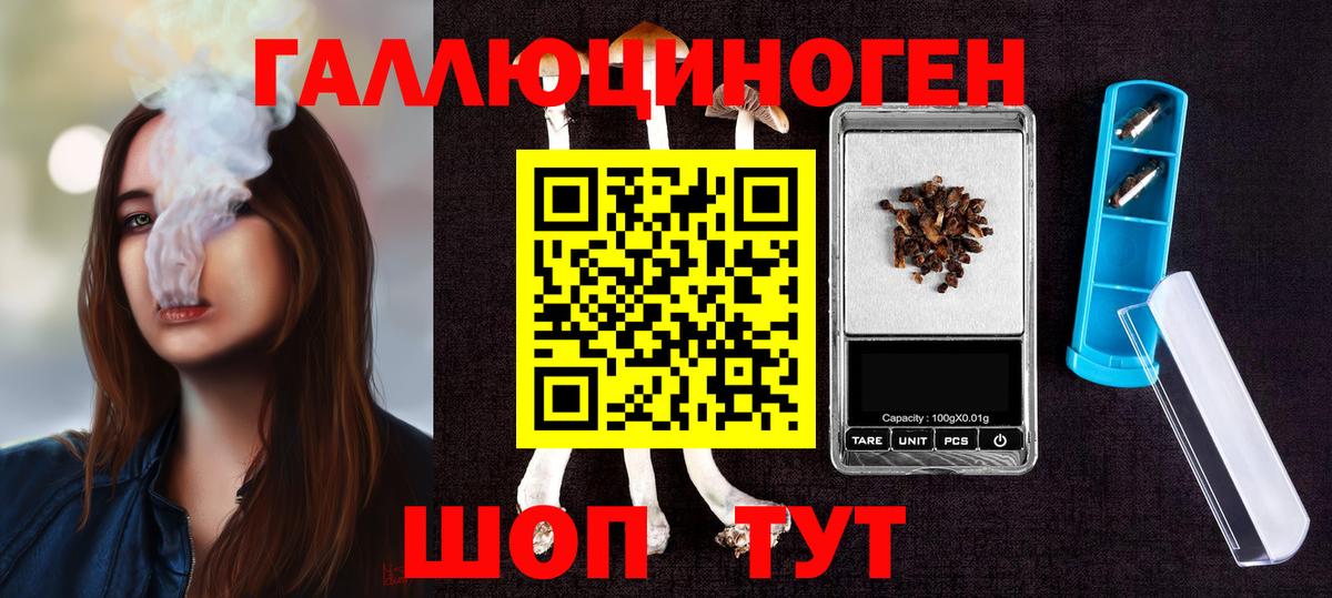 Галлюциногенные грибы Psilocybe Краснокаменск